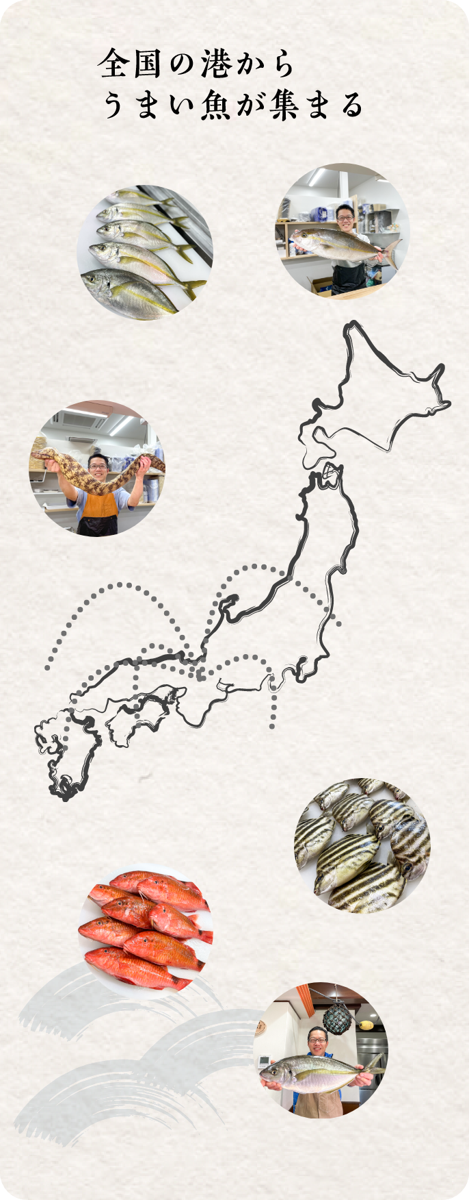 全国の港からうまい魚が集まる