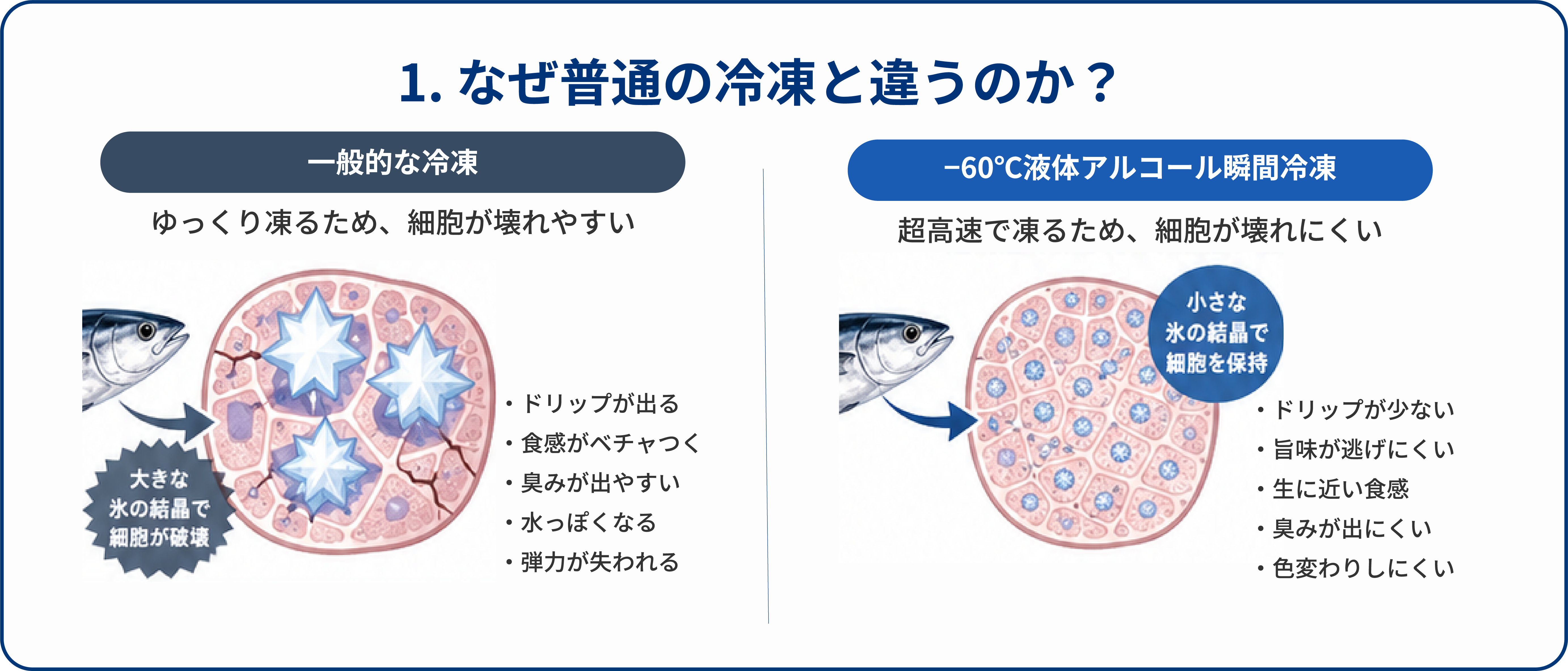 普通の冷凍との違い 1