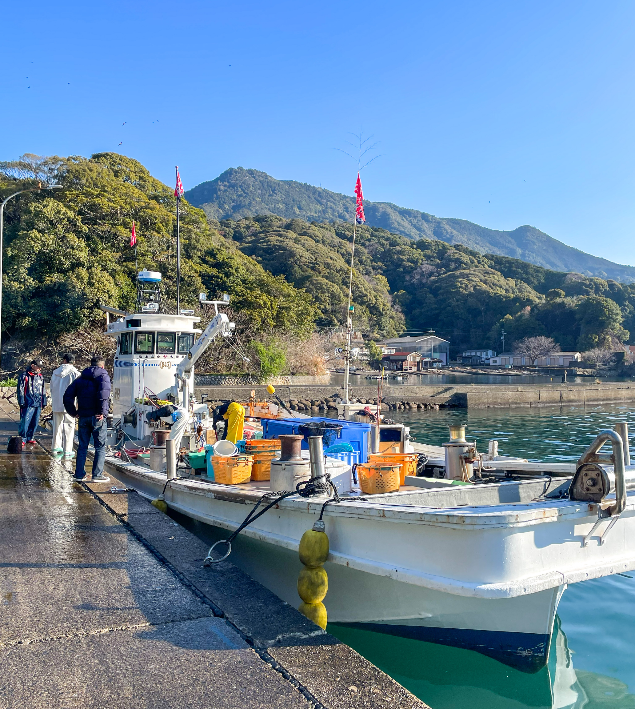 京都の魚屋「さかなやひろさん」漁師直送・天然鮮魚・神経〆・血抜きに