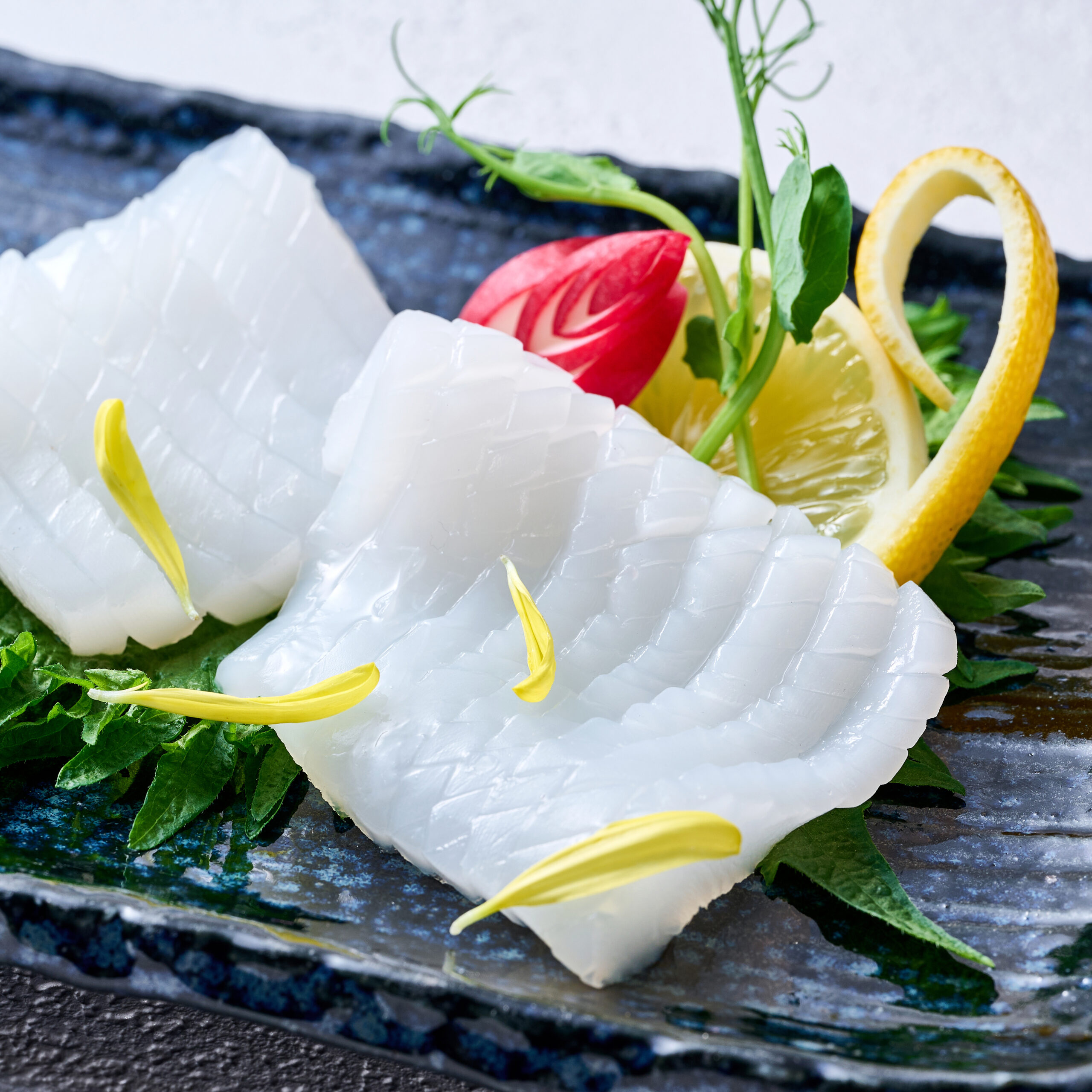 鹿児島県内之浦アオリイカ(生食用) - 画像 (2)