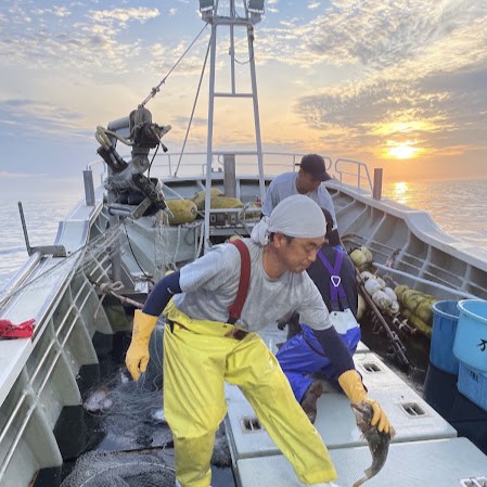 漁師が漁獲直後の魚を血抜きしている写真。現地での処理の様子が伝わるもの